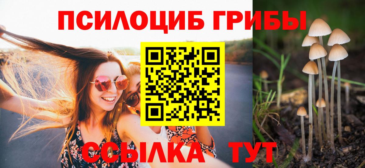 Галлюциногенные грибы мицелий Славянск-на-Кубани
